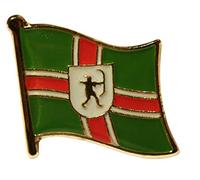 Nottinghamshire County Flag Pin Badge