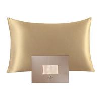 Nourish by SK 22 Momme Mulberry Silk Pillowcase for Hair & Skin Grade 6A Mulberry Silk Bedding Pillow Case - Both Sides Natural Silk Pillowcase for Sumptuously Deep Beauty Sleep (50x75)