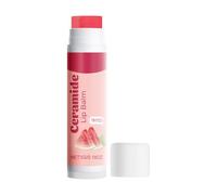 Nourishing Lip Softener Formulas With White Beeswaxes Fast Absorbing NonGreasy Daily For Chappeds Lips Sensitives Lips Protection