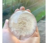 NouvoCrescent Real Dandelion Paperweight - Home Decor Crystal Ball Flower Globe 3.14in (80mm) - Dandelion Desk Decor Clear Resin Ball with Flat Bottom - Sphere Figurine Office Paper Weights