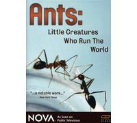 Nova: Ants - Little Creatures Who Run the World [DVD] [Region 1] [US Import] [NTSC]