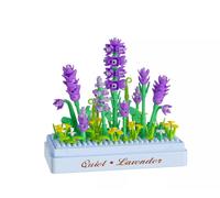 Nova Bloom Building Blocks Lavender Garden