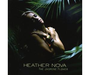Nova, Heather - Jasmine Flower
