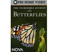 Nova: Incredible Journey of the Butterflies [DVD] [Region 1] [US Import] [NTSC]