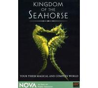 Nova: Kingdom of the Seahorse [DVD] [2006] [Region 1] [US Import] [NTSC]