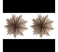 Nova Paper Star 50 Warm Grey Set of 2