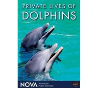 Nova: Private Lives of Dolphins [DVD] [Region 1] [US Import] [NTSC]
