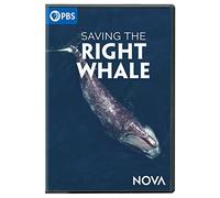 NOVA: Saving The Right Whale