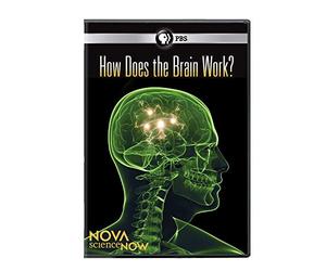 Nova Science Now: How Does the Brain Work [DVD] [Region 1] [US Import] [NTSC]