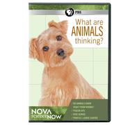 Nova Sciencenow: What Are Animals Thinking [DVD] [2012] [Region 1] [US Import] [NTSC]