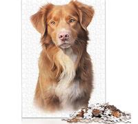 Nova Scotia Duck Dog Jigsaw Puzzles Puzzles for Adults Kids. 1000 Pieces Impossible Challenge Toy Educational Game Home Decoration for Adults& Kids Age 14 Years Up 1000pcs (38x26cm)