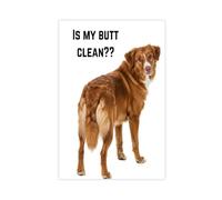 Nova Scotia Duck Toller Bathroom Art Canvas Poster Wall Art Decor Print Picture Paintings for Living Room Bedroom Decoration 20x30inch(50x75cm)