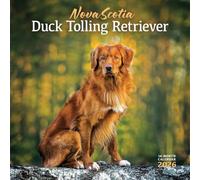 Nova Scotia Duck Tolling Retriever Calendar 2026, Wall Calendars, Gift