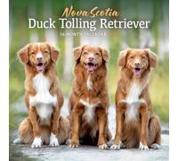 Nova Scotia Duck Tolling Retriever Calendar 2027, Wall Calendars, Gift