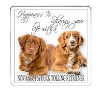 Nova Scotia Duck Tolling Retriever COASTER, Lovely Dog Gift. Happiness Is ... Can Be Personalised. Matching Items Available.
