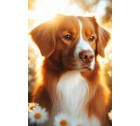 Nova Scotia Duck Tolling Retriever face Notebook - Large 6 x 9 inches - 127 Pages