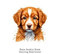 Nova Scotia Duck Tolling Retriever: Notebook, 120 blank lined pages, 6 by 9