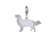 Nova Scotia Duck Tolling Retriever Silhouette Silver Charm