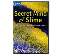 Nova: Secret Mind Of Slime [Edizione: Stati Uniti]
