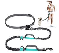 Nova Tree Hands Free Dog Leash with Adjustable Waist Strap-Dual Bungee & Handle Design - Perfect for Running, Jogging, Walking(Green)