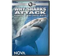 Nova: Why Sharks Attack [DVD] [Region 1] [US Import] [NTSC]