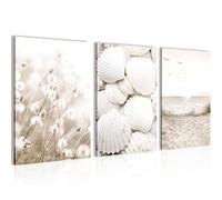 Novart Wall Decoration Set with Paintings Shell Beach Wall Art - COMPLETE AND READY TO HANG - No Frame Needed - Bedroom Living Room Kitchen - N001736a