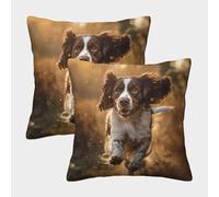 NoveAurora English Springer Spaniel 2pc set Homeware Cushions Invisible Zipper Decorative Pillow case for Couch Sofa Bed Outdoor Home Decorative 50x50cm