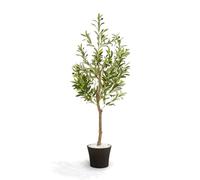NOVECRAFTO 4FT/120CM Artificial Olive Tree with Decorative Pot & Mediterranean Stones - Realistic Indoor Faux Olive Tree with Natural Trunk, Lifelike Leaves & Fruits - Living Room, Bedroom, Office