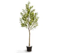 NOVECRAFTO 6FT/180CM Artificial Olive Tree with Decorative Pot & Mediterranean Stones - Realistic Indoor Faux Olive Tree with Natural Trunk, Lifelike Leaves & Fruits - Living Room, Bedroom, Office