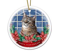 Novelty Christmas Decoration Santa I Can Explain Personalized Pet Cat Name Christmas Ornaments for Xmas Tree Round Keepsake Porcelain Bauble Stocking Stuffer Souvenir Gift for Parents Kids