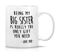 Novelty Coffee Mug Being My Big Sister is Really The Only Gifts You Need Love You 11 Ounce Ceramic Coffee Mugs, Sarcasm, Humor Sarcastic Inspirational Birthday Gifts for Best Sis Friend Coworker
