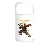 Novelty, Motivational, Karate Warrior. Case for iPhone 17 Pro