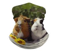 Novelty Neck Gaiter Guinea Pigs Funny Headwear Windproof Face Shield For Climbing Workout Outdoor