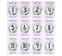 Novelty Photo Cards for Family First Party Decoration Kids Baby Boy Girl My 1st Year 12 Month Newborn Presents Baby Stickers for Shower