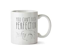 Novelty Sloth Mug, You Can't Rush Perfection Coffee Mug Gift for Colleagues Birthday, Men, Women, Work Bestie Office Leaving Present, Secret Santa Joke Gift Ideas - White