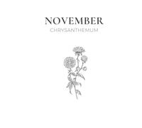 November Birth Flower Journal: Chrysanthemum