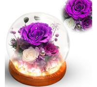NOVEMBER SPRING Preserved Roses, Preserved Flowers, Real Flowers in Glass Dome, Birthday Flower for Women, Purple Roses Gifts for Mom Grandma Wife Daughter Sister