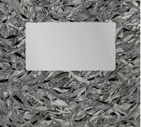 Novembers - Fourth wall