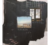 Novo Amor Collapse List (Vinyl) 12" Album (US IMPORT)