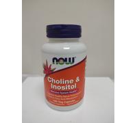 NOW Foods, Choline & Inositol 500mg | 100 Capsules Support Nervous System Health