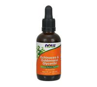 NOW Foods Echinacea & Goldenseal Glycerite - 60 ml.