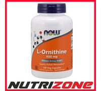Now Foods L-Ornithine 500mg Protein Metabolism Fitness Amino Acid - 120 vcaps