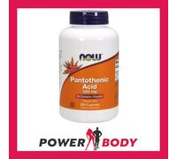 NOW Foods Pantothenic Acid, 500mg, 250 caps