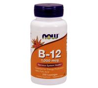 Now Foods Vitamin B12 500 mcg + Folic Acid 50 mcg, 250 sucking tablets