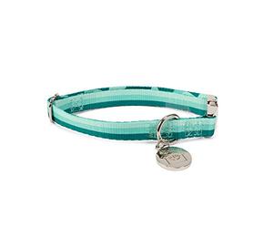 Now House for Pets by Jonathan Adler: Now House Green "Chroma" Collar - Small, chromatic