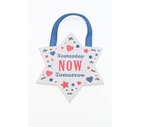 Now Not Tomorrow Reflective Words Hanging Plaque with Ribbon Wooden Hanger Gift 00200040029