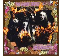 Now Or Nowhere - The Damn Truth