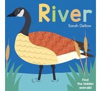 Now you See It! River: 4