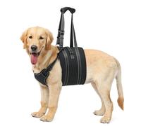 NOYAL Dog Lift Harness Sling - Adjustable Pet Carrier for Senior Dogs with Arthritis Joint Injuries, Emergency Support Rehabilitation Aid for Nail Trimming, Stairs Assistance