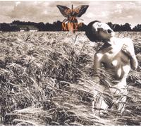 NOYCE TM - COMA CD NEW